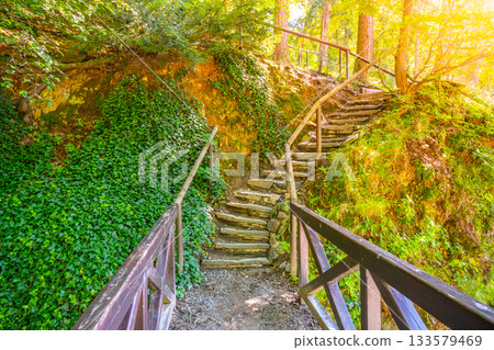 Narrow path and staircase in the forest. Narrow path and staircase in the forest. 133579469