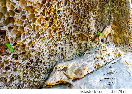 Weathered sandstone detail. Rock wall with small holes texture. Natural backround Weathered sandstone detail. Rock wall with small holes texture. Natural backround 133579511
