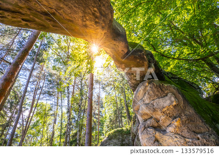 Bottom view of unique sandstone arch in pine forest on dry sunny summer day. Bohemian Paradise, Czech Republic Bottom view of unique sandstone arch in pine forest on dry sunny summer day. Bohemian Paradise, Czech Republic 133579516