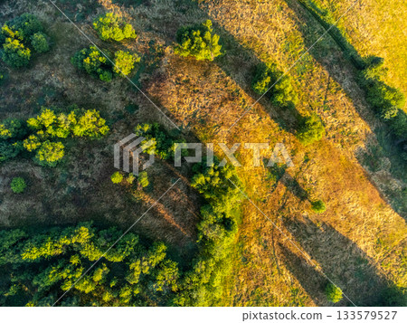 Lush green natural landscape with trees and meadows. Aerial view from drone. Czech Republic 133579527