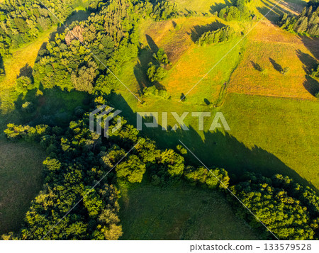Lush green natural landscape with trees and meadows. Aerial view from drone. Czech Republic 133579528