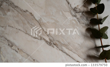 Elegant Marble Surface with Eucalyptus Branch Detail 133579750