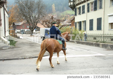 White Horse at Vintage Fort 133580361