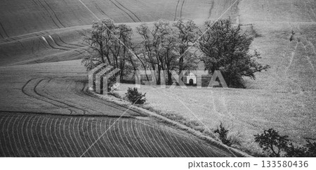 Rolling hills with furrows and a cluster of trees surround a small chapel in Moravian Tuscany, showcasing the calmness of rural life in Czechia through seasonal changes. Rolling hills with furrows and a cluster of trees surround a small chapel in Moravian Tuscany, showcasing the calmness of rural life in Czechia through seasonal changes. 133580436