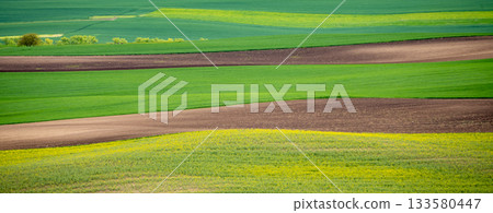Wavy agricultural field of Moravian Tuscany. Czech Repulbic 133580447