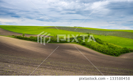 Wavy agricultural field of Moravian Tuscany. Czech Repulbic 133580458