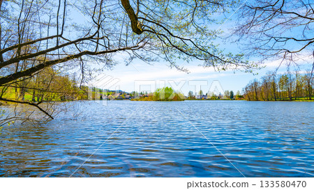 Rural pond on sunny spring day. Markvartice Pond, Jablonne v Podjestedi, Czech Republic Rural pond on sunny spring day. Markvartice Pond, Jablonne v Podjestedi, Czech Republic 133580470