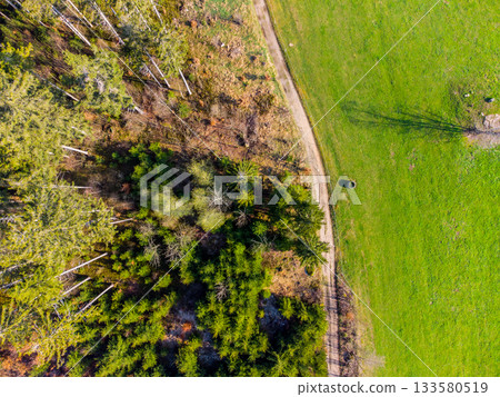Rural country road between green meadows and forest. Aerial view from drone. Rural country road between green meadows and forest. Aerial view from drone. 133580519