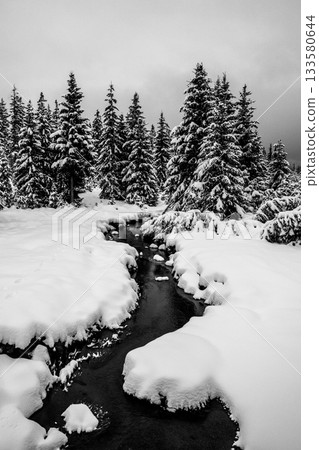 Winter in Jizera Mountains. Snowy landscape with trees and small creek. Czech Republic 133580644