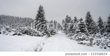 Trees covered by new snow. Winter fairytale landscape. Idyllic winter time in Jizera Mountains, Czech Republic 133580654