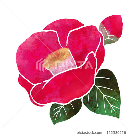 紅山茶花 133580656