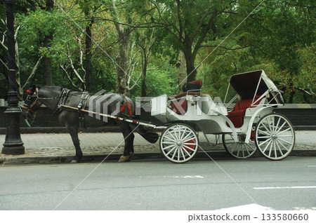 Tourist Horse Coach Carriage Tourist Horse Coach Carriage 133580660