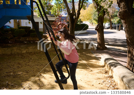 Young Girl Climbing Playground Ladder On A Sunny Autumn Day Young Girl Climbing Playground Ladder On A Sunny Autumn Day 133580846