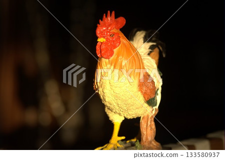 Hens at rural House India Hens at rural House India 133580937