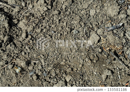 Close-up of a gray-black lava texture on the ground. Porous, cracked, and stony, perfect as a stock texture or photo background. Impression of molten rock. Close-up of a gray-black lava texture on the ground. Porous, cracked, and stony, perfect as a stock texture or photo background. Impression of molten rock. 133581186