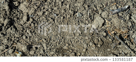 Close-up of a gray-black lava texture on the ground. Porous, cracked, and stony, perfect as a stock texture or photo background. Impression of molten rock. 133581187