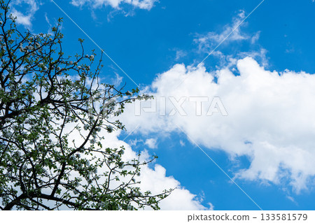 sky is blue and clear with no clouds. The sky is very bright and the sun is shining sky is blue and clear with no clouds. The sky is very bright and the sun is shining 133581579