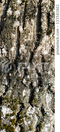 ligneous background, dark brown table surface. rustic wood texture. 133581601