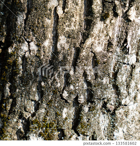 ligneous background, dark brown table surface. rustic wood texture. 133581602