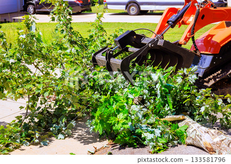 Crawler loader machine with claw attachment removes branches leaves from yard, after storm. 133581796