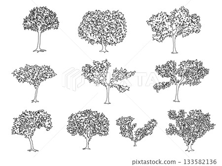 Tree silhouette_6 Tree silhouette_6 133582136