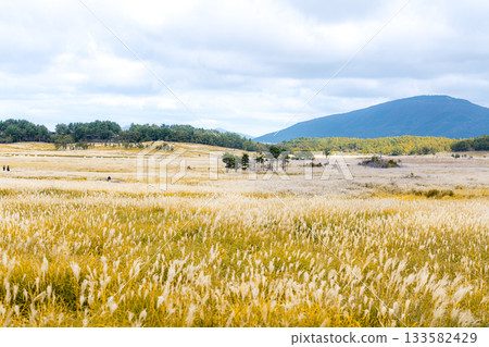 秋日銀草平原和喬加巴魯·塔德瓦拉沼澤地的山脈 133582429