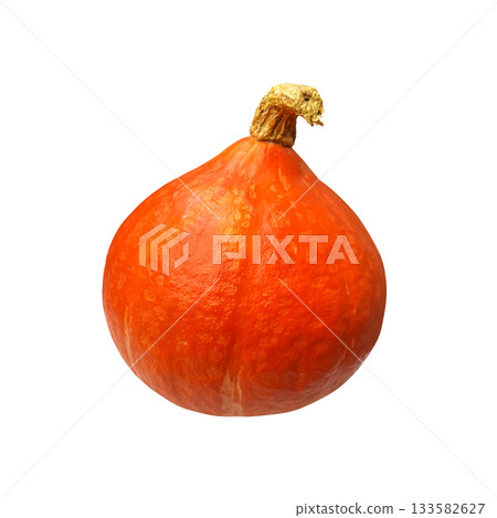 Bright orange pumpkin fresh whole tasty ripe vegetable seasonal image for autumn holiday Thanksgiving and Halloween design, healthy vitamin organic diet, isolated, clipping path, soft selective focus Bright orange pumpkin fresh whole tasty ripe vegetable seasonal image for autumn holiday Thanksgiving and Halloween design, healthy vitamin organic diet, isolated, clipping path, soft selective focus 133582627