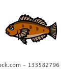 Illustration of a cute greenling 133582796