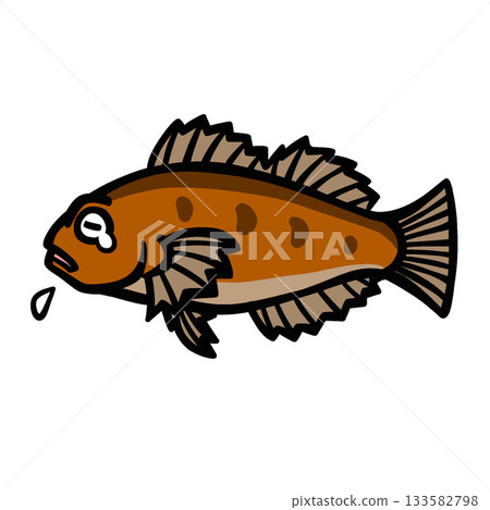一隻可愛又悲傷的石斑魚的插圖 一隻可愛又悲傷的石斑魚的插圖 133582798
