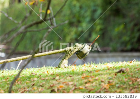 Mower brushcutter on green grass 133582839