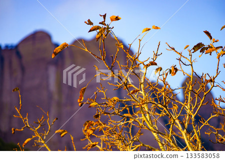 Montserrat mountain range, Spain. 133583058