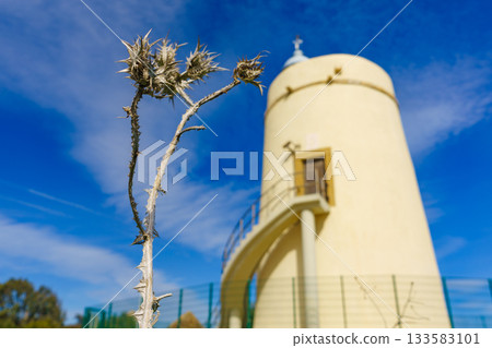 Carbonera lighthouse, Punta Mala, La Alcaidesa, Spain. 133583101