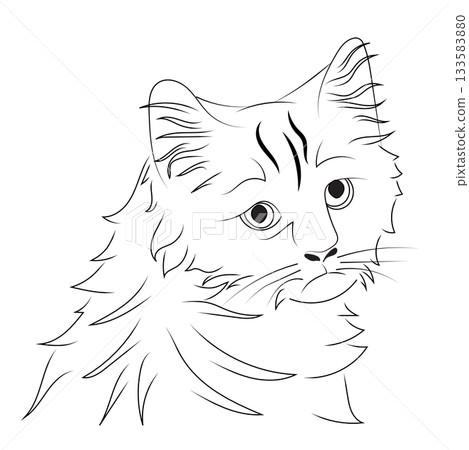 A sad cat's head in a linear style. Vector illustration isolated on a white background. A sad cat's head in a linear style. Vector illustration isolated on a white background. 133583880