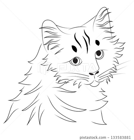 Fluffy cat head in doodle style. Vector illustration isolated on a white background. 133583881