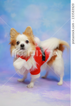 聖誕節快樂 133583920