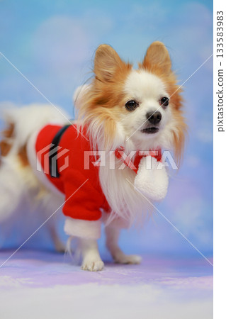 聖誕節快樂 133583983