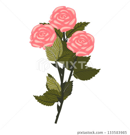 A bouquet of light pink roses with three lush blooms. A huge, lush bouquet of flowers and buds. Vector illustration on a white background. A bouquet of light pink roses with three lush blooms. A huge, lush bouquet of flowers and buds. Vector illustration on a white background. 133583985
