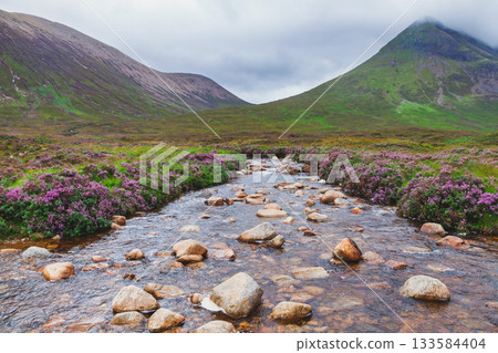 Mountain stream flowing through heather valley on Isle of Skye Scotland UK 133584404