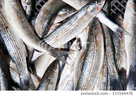 Mugil in market 133584476