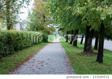 NIK_2550.NEF 133584531