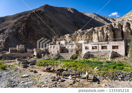 Shingo Village in Hemis National Park, Ladakh Shingo Village in Hemis National Park, Ladakh 133585218