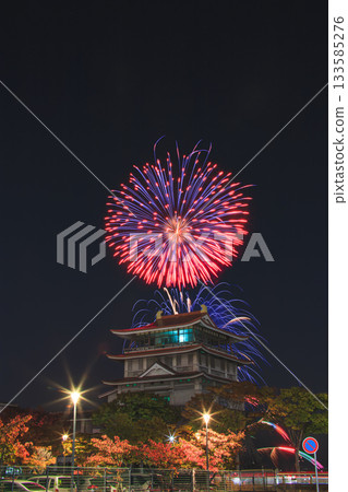Lake Biwa Autumn Fireworks Lake Biwa Cultural Center 133585276