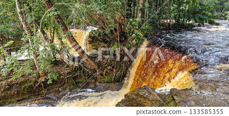 Macaws waterfall in Presidente Figueiredo near Manaus in the amazon region in Brazil Macaws waterfall in Presidente Figueiredo near Manaus in the amazon region in Brazil 133585355