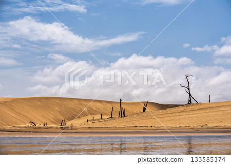 Dunes and lagoons of Vassouras, Lencois Maranhenses, Barreirinhas, Brazil. White sand dunes with pools of fresh water 133585374