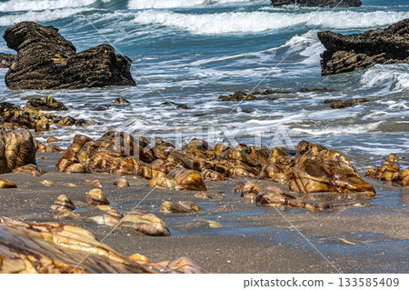 Victory Beach, Praia da Vitoria at Jijoca de Jericoacoara, Ceara, Brazil Victory Beach, Praia da Vitoria at Jijoca de Jericoacoara, Ceara, Brazil 133585409