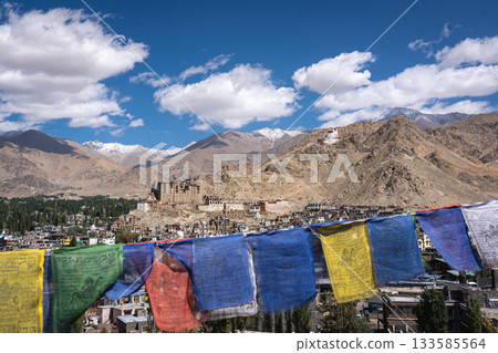 Panoramic View of Leh in Ladakh District Panoramic View of Leh in Ladakh District 133585564