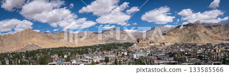 Panoramic View of Leh in Ladakh District 133585566