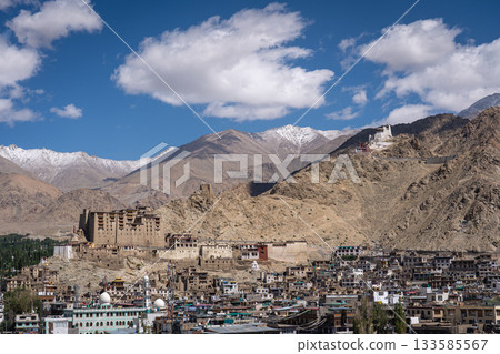 Panoramic View of Leh in Ladakh District 133585567