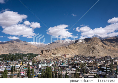 Panoramic View of Leh in Ladakh District 133585568