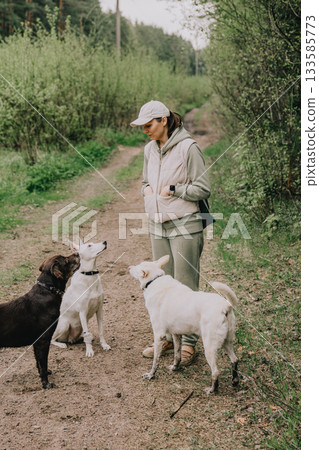 Professional dog walker. woman trains feeds dogs in forest. Dogs of different breeds. Professional dog walker. woman trains feeds dogs in forest. Dogs of different breeds. 133585773